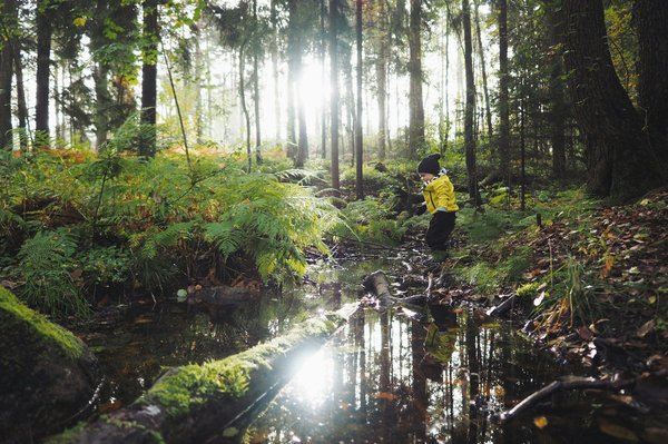 How to plan a multi-day horseback riding and camping trip in the UK?