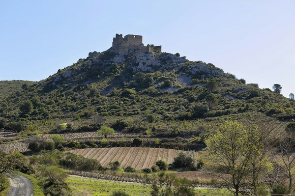 Where can tourists find the most detailed tours on the history of the British suffragette movement?